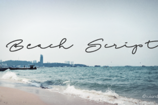 Beach Script: The Perfect Handwritten Monoline Font