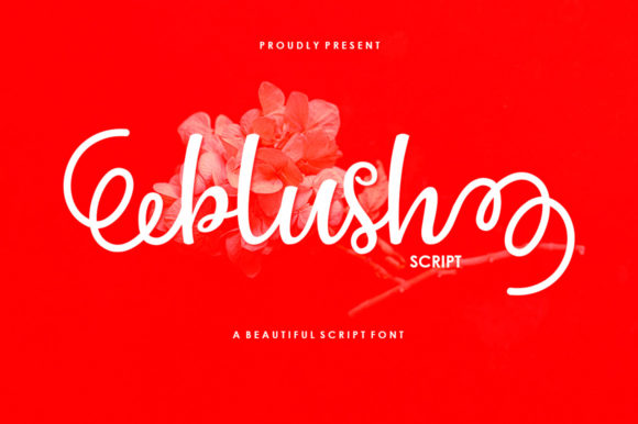 Discover the Charm of Blush Script in Modern Design