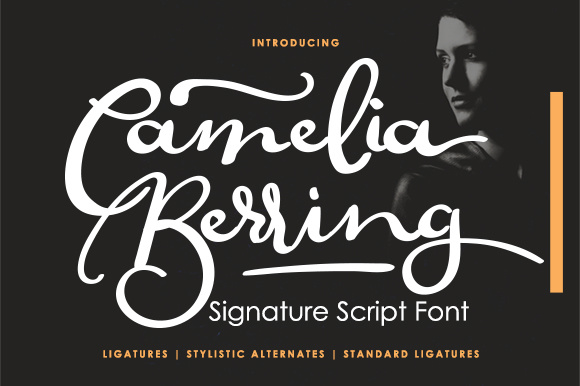 Discovering the Flow: A Designer's Guide to Camelia Berring Script