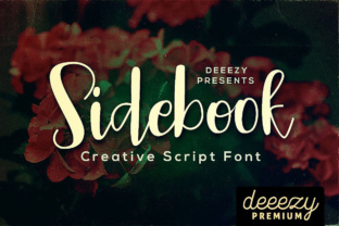 Sidebook Script: Your Go-To Font for Playful, Professional Design