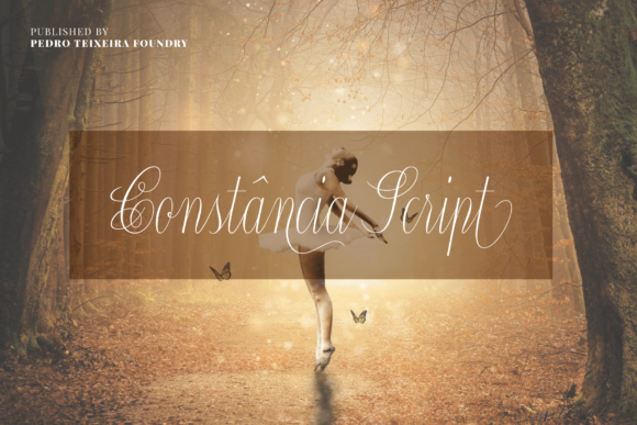 The Timeless Allure of Constância Script