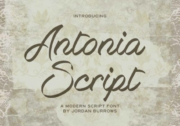Why Antonia Script Is a Designer's Secret for Elegant Branding